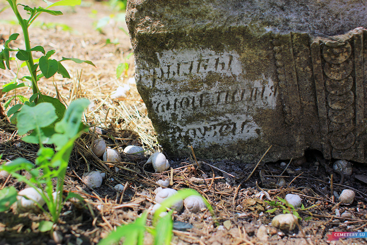 Старое кладбище Таганрога. Разбитый полнотелый саркофаг