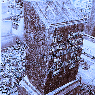 Старое кладбище Таганрога. Младенцы Базенер
